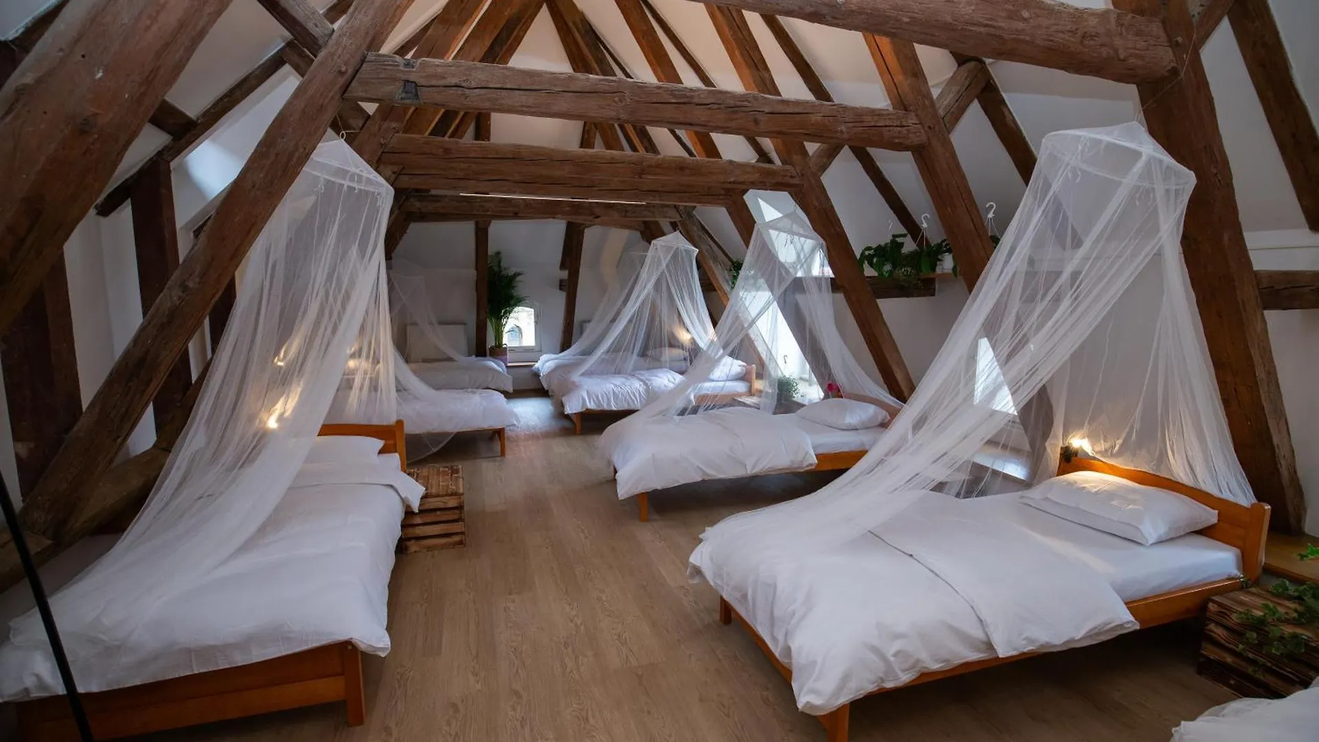 Women'S Only Hostel - Female Only Prague