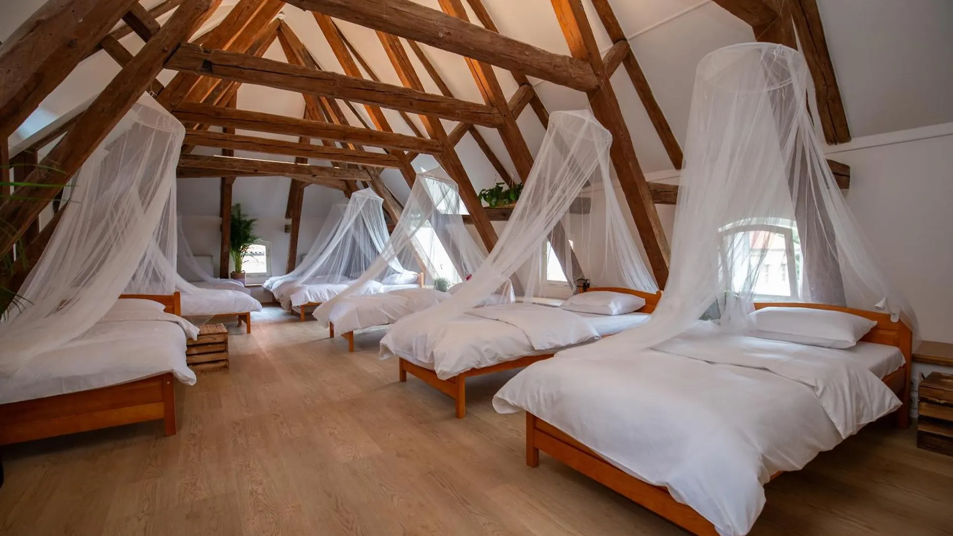 Women'S Only Hostel - Female Only Prag Tjekkiet