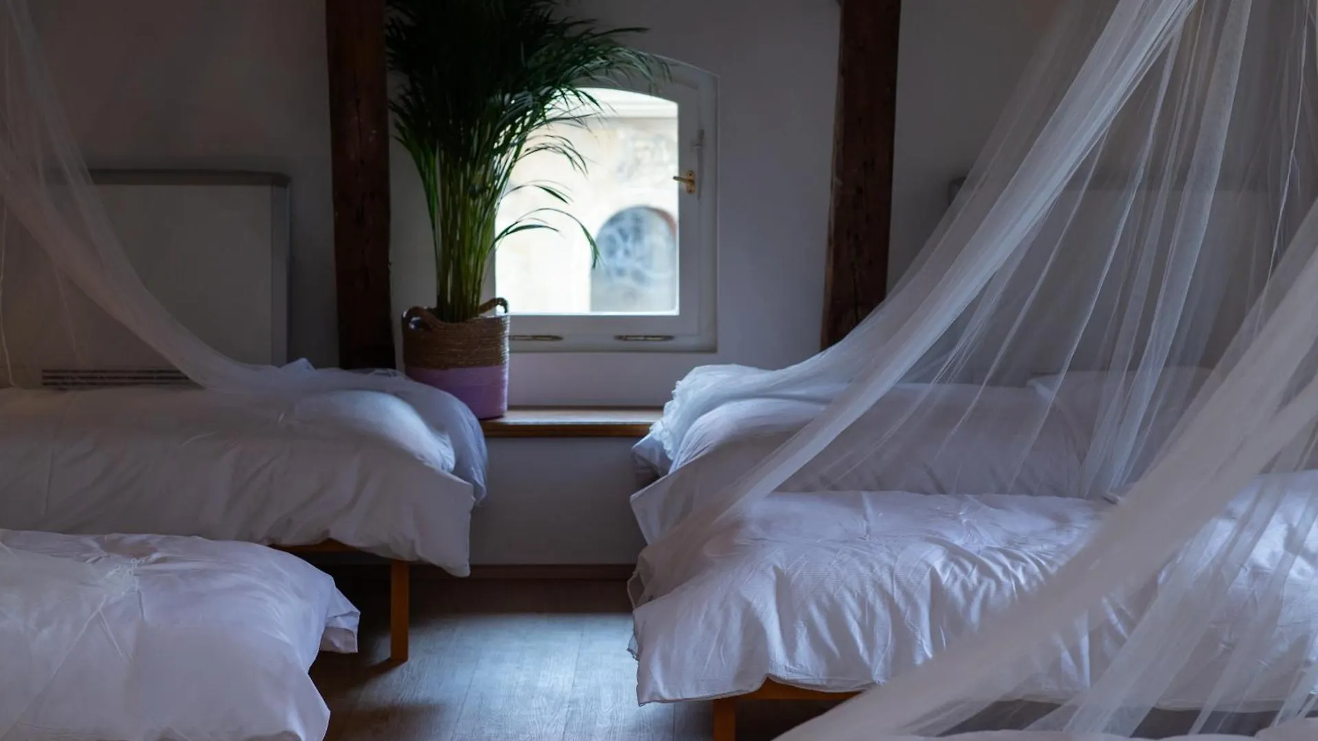 Women'S Only Hostel - Female Only Prague