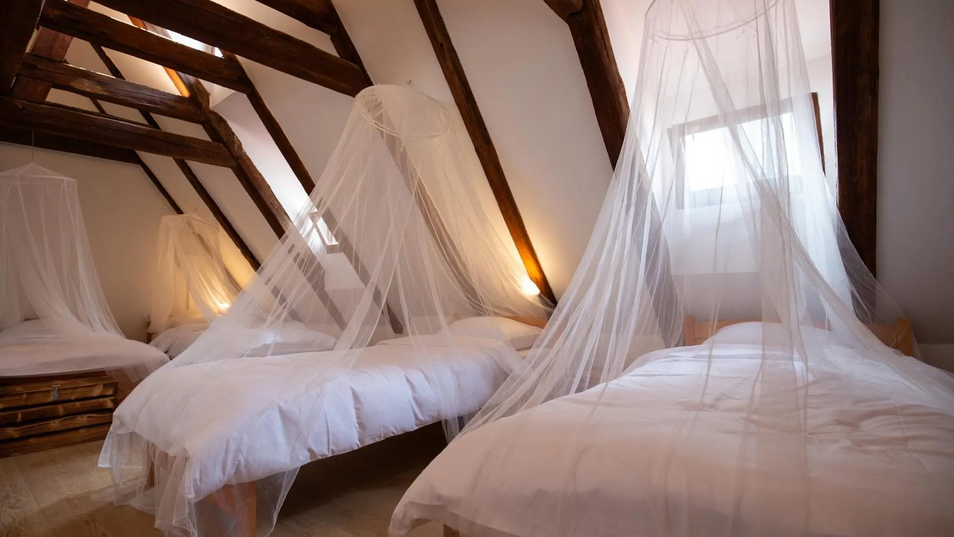 Women'S Only Hostel - Female Only Prague