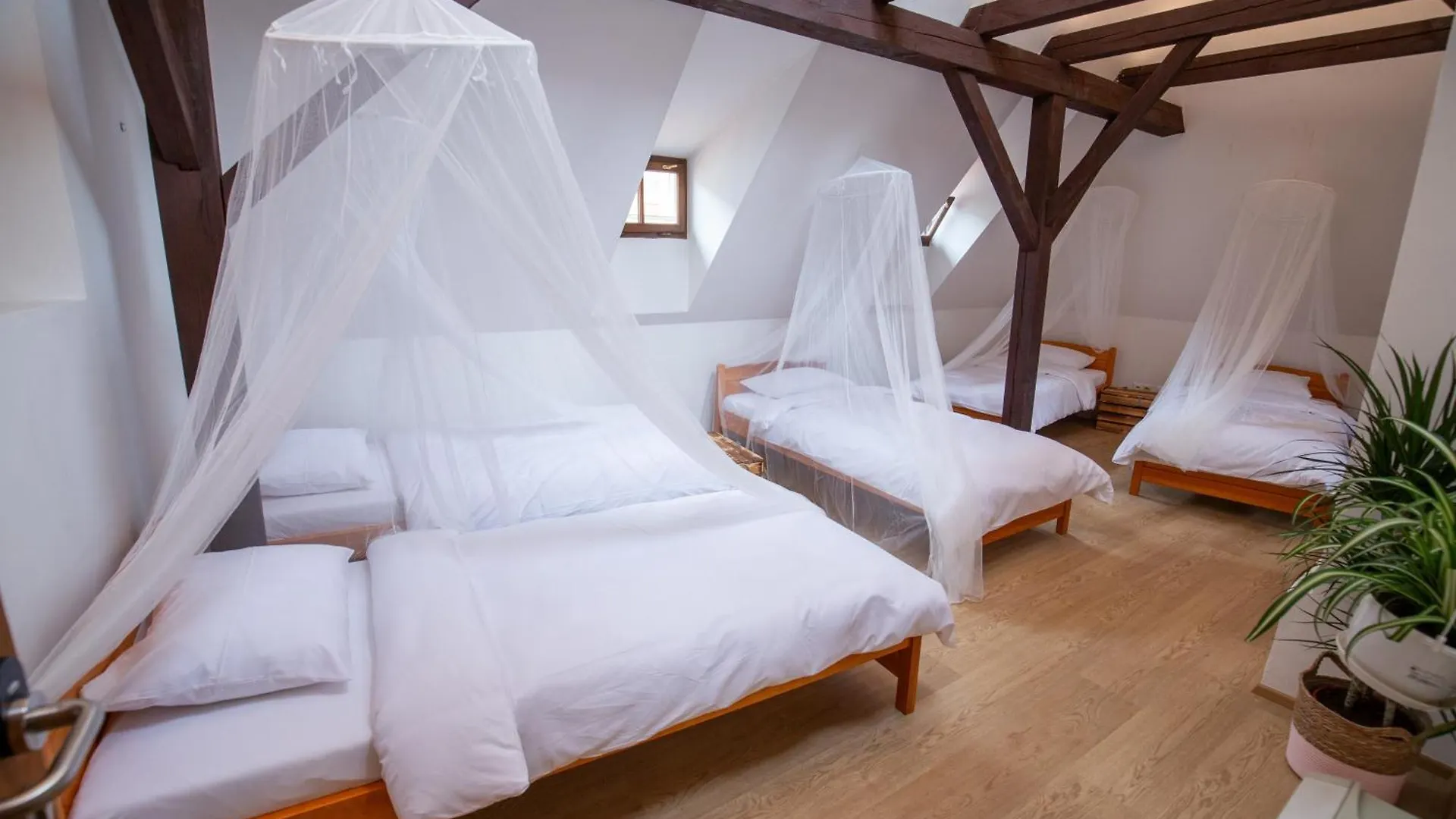 Women'S Only Hostel - Female Only Prague