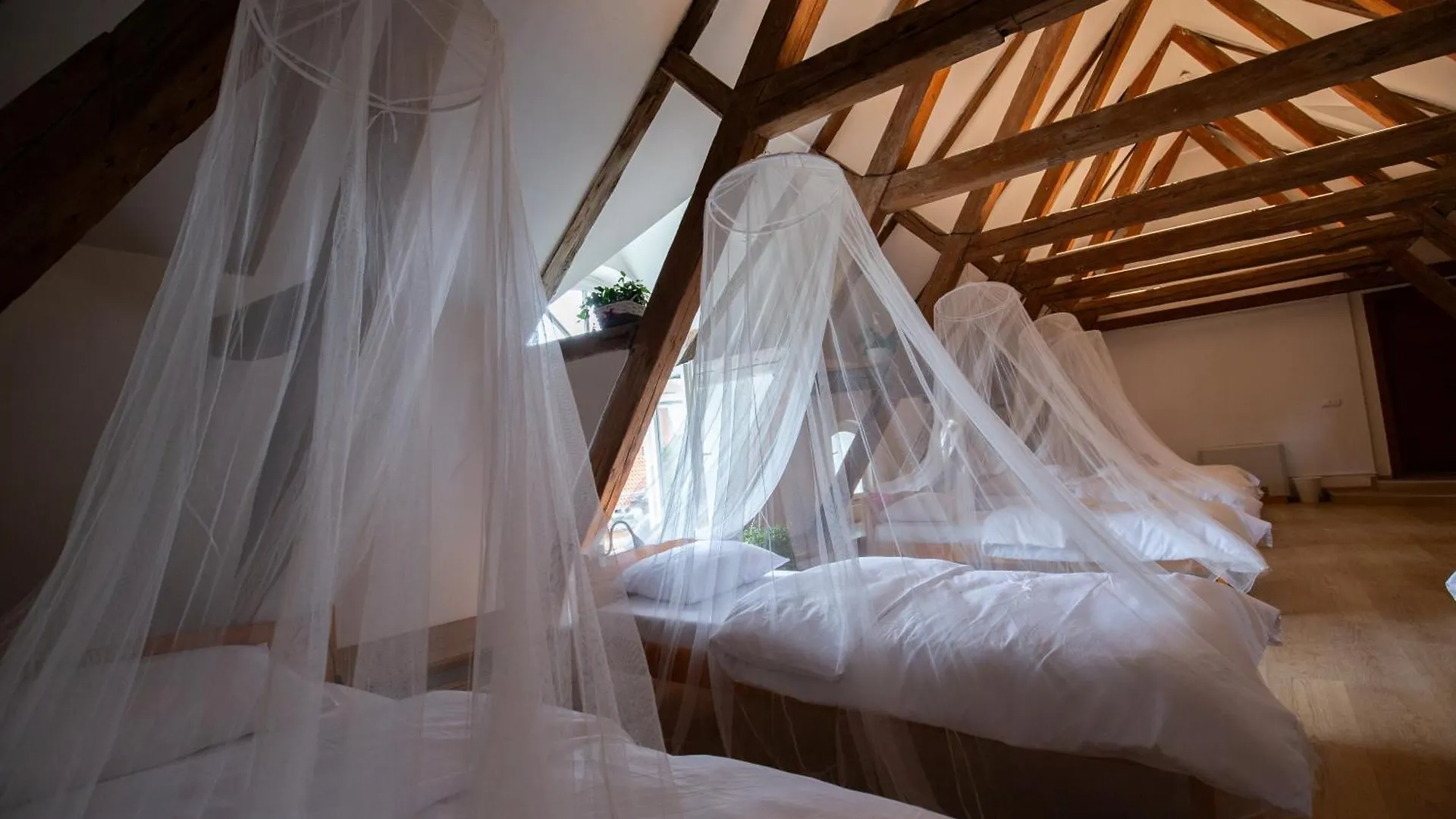 Women'S Only Hostel - Female Only Praga