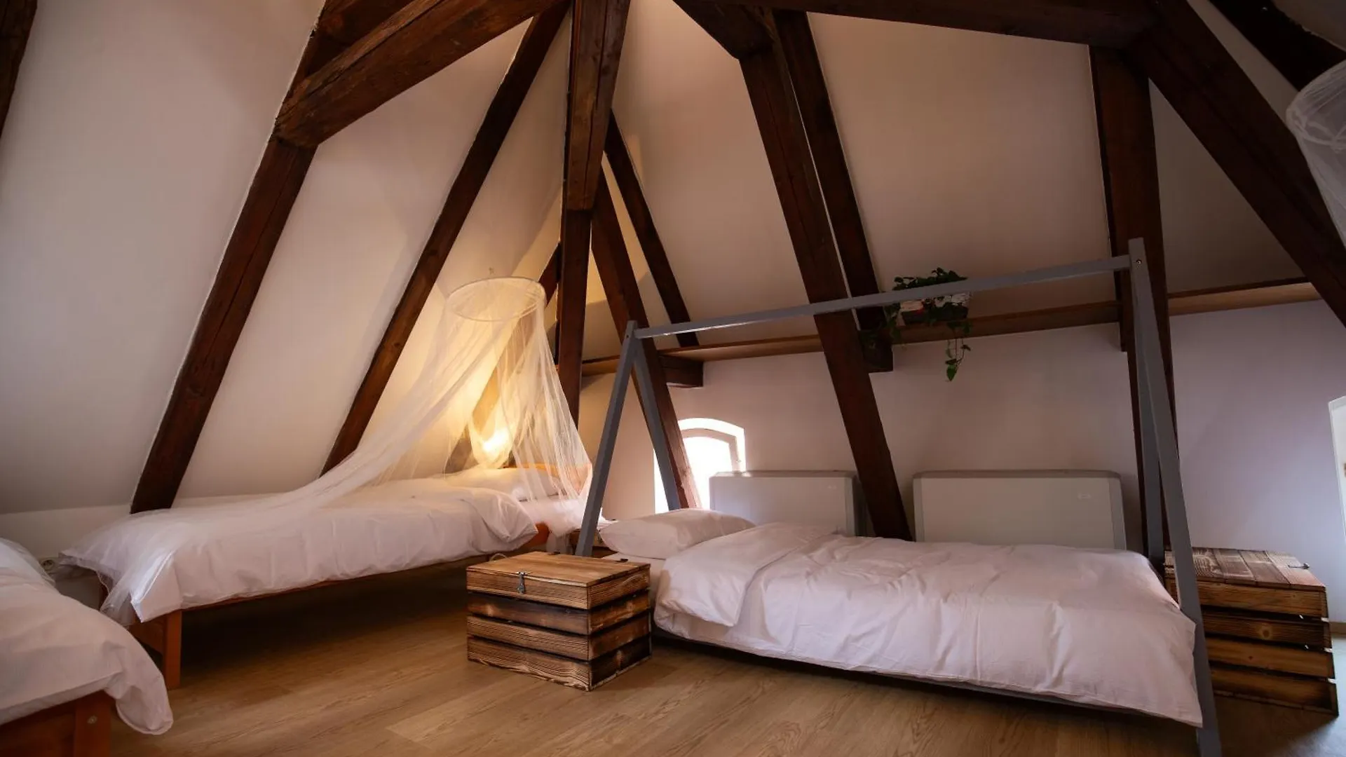 Women'S Only Hostel - Female Only Praga República Checa