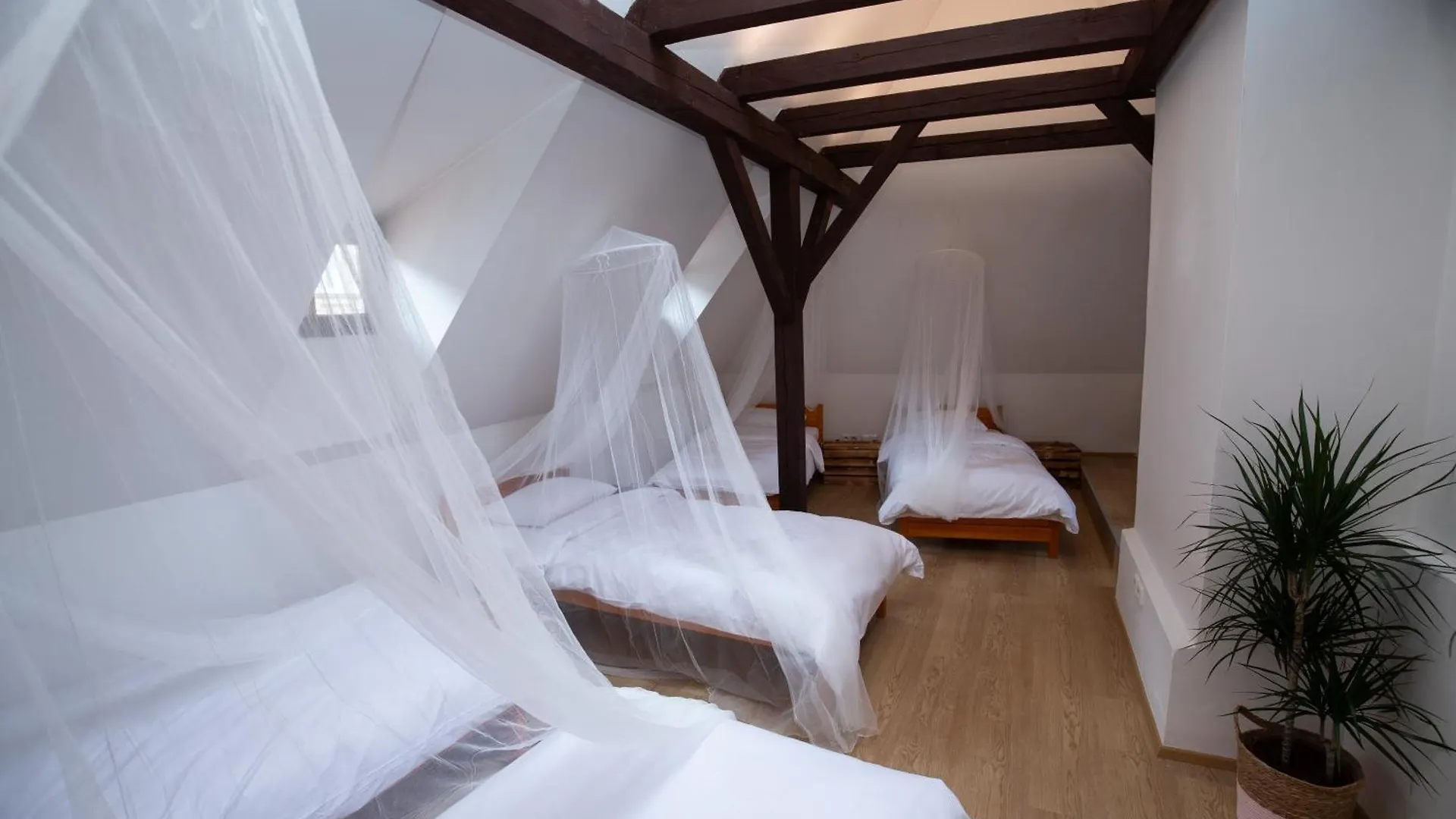Women'S Only Hostel - Female Only Prag 0*,