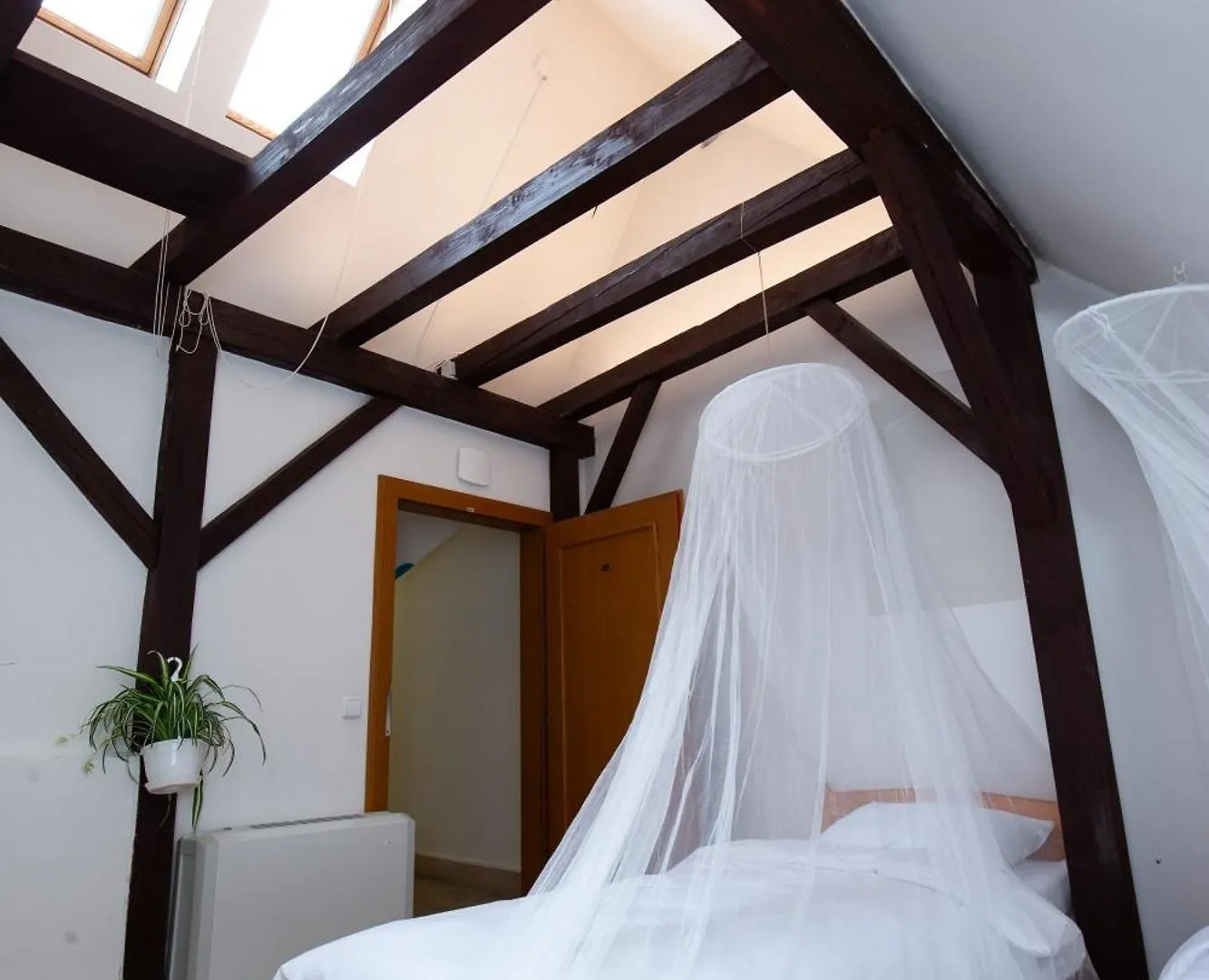 Women'S Only Hostel - Female Only Prag