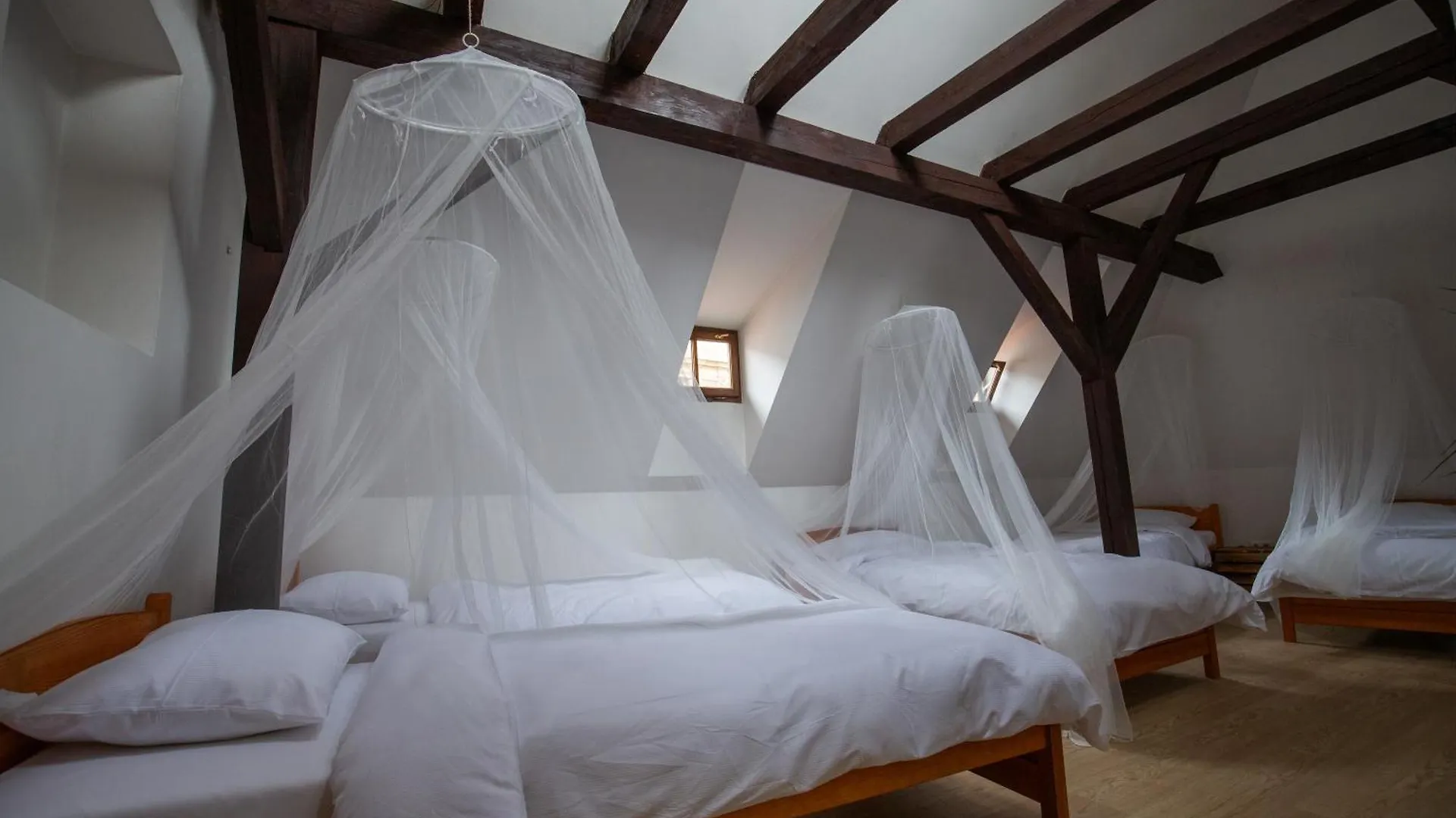 Women'S Only Hostel - Female Only Prag 0*,